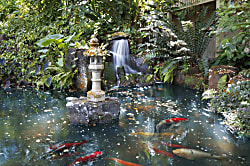 Waikomo Stream Villas 302