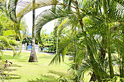 Plantation Hale Garden Level Corner Unit