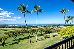 Wailea Ekolu 308