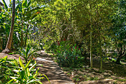 Waikomo Stream Villas 332