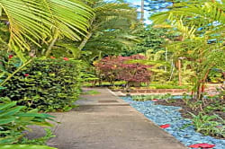 Pikake 1st Floor Beachfront Condo