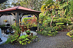 Tropical Oasis Cottage