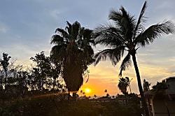 Kamaole Sands #4-301