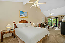 Hale Moi Studio Suite