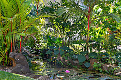 Waikomo Stream Villas 530