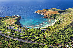 Hawaiian Monarch Studio 808