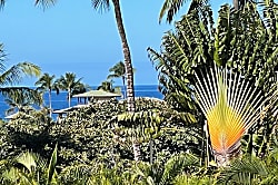 Kohala Coast Oceanview Condo 2BR