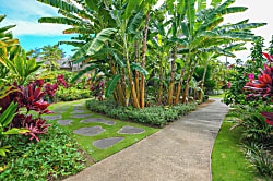 Islander on the Beach 241