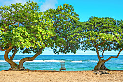 Islander on the Beach 241