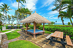 Islander on the Beach 241