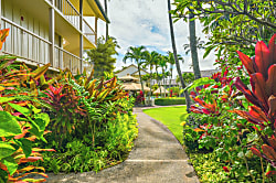 Islander on the Beach 359