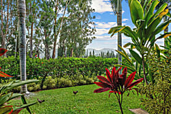 Sandpiper 1 Bedroom King Unit