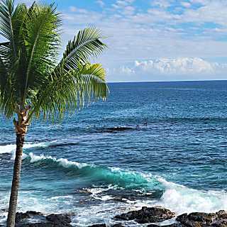 Kona Reef Resort D-36 