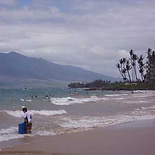 Maui Banyan B201