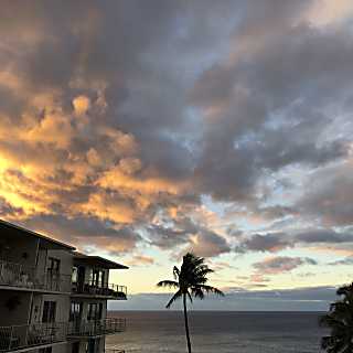 Sunset Kahili 406