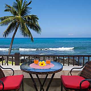 Banyan Tree 205