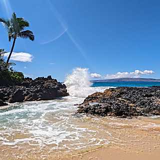 Maui Banyan G307