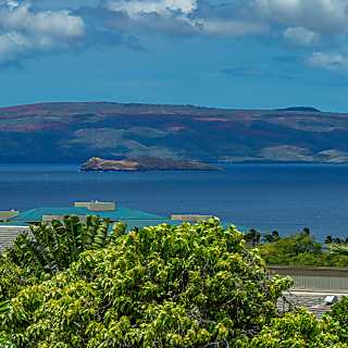 Wailea Ekolu #503