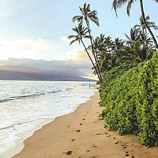 Maui Banyan 1 BR/2 BA