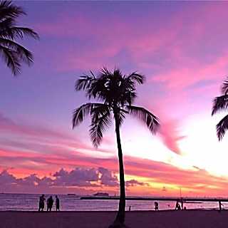 Waikiki Shore Rental