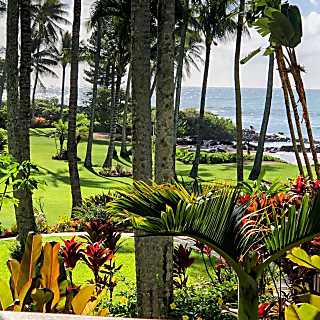 Lae Nani Condo unit 426 