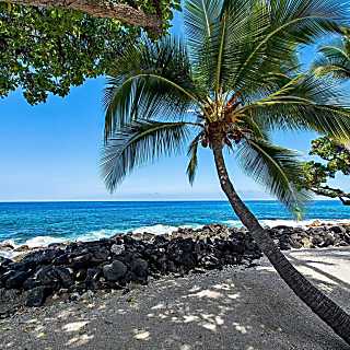 Kona Isle Rental Unit