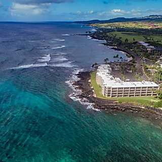 Kuhio Shores 1 Bedroom