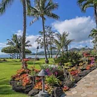 Lae Nani Condo 324