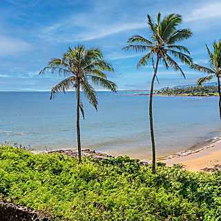 Wailua Bayview 203