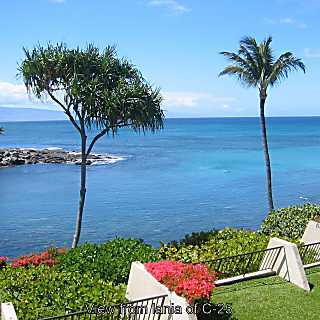 Napili Point Resort Unit C25