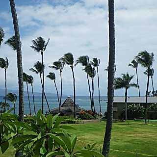 Napili Shores Resort H-167