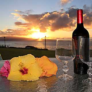 Polynesian Shores 101