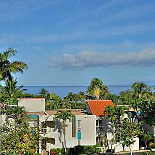 Palms at Wailea #1105