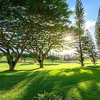 Kapalua Golf Villas 14P6