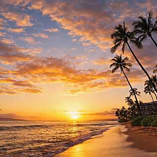 Kaanapali Royal KRO-Q102