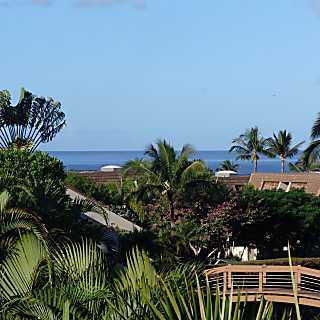 Maui Kamaole Large Lanai Condo