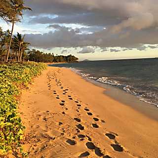 Kihei Beachfront Garden View Condo 