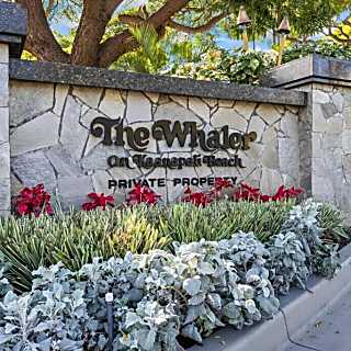 The Whaler Unit #373