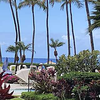 Kaanapali Alii Unit 416