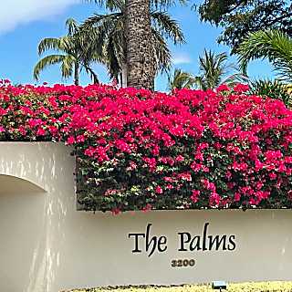 The Palms at Wailea 1301