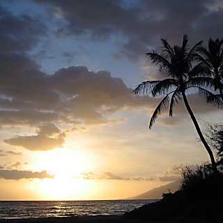 Kihei Kai Nani 11-342