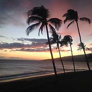 Sugar Beach Resort 228