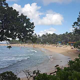 Hawaiian Haven on the Green. 