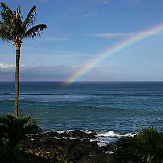 Kuleana Resort Unit 411