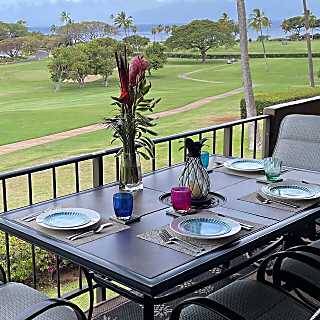 Maui Eldorado C205/C206