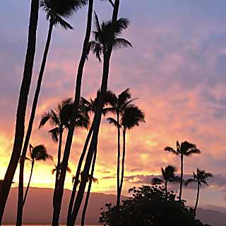 Kanai a Nalu 2nd Floor Rental