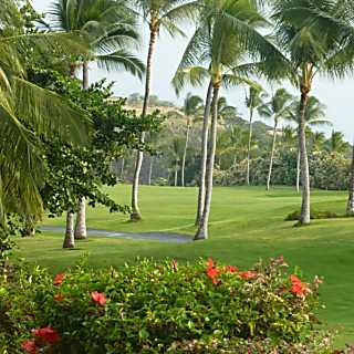 Keauhou Punahele E106