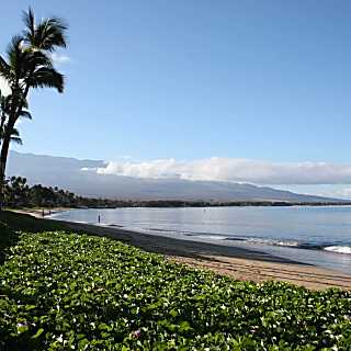 Sugar Beach Resort 315