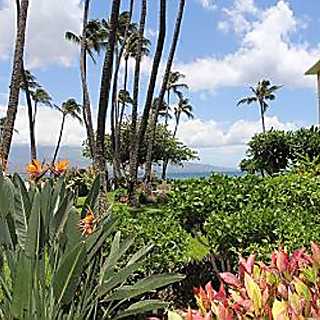 Kanai A Nalu Resort 108