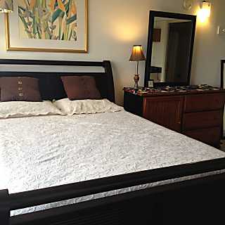 Hawaiian Monarch Studio